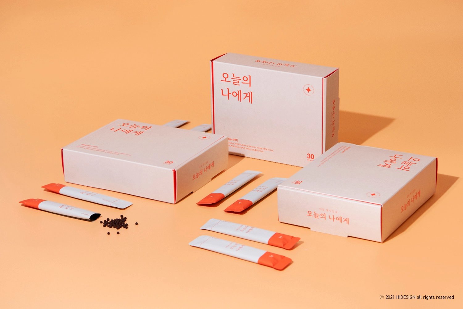 표준 패키지 제작 (Standard Package) 제작 사례 이미지