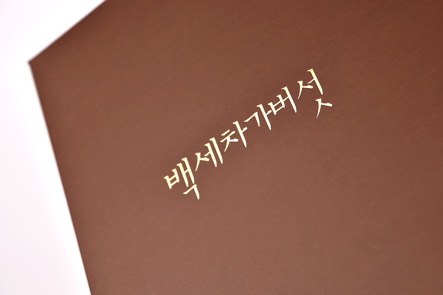 백세차 차가버섯 티백 식품 패키지 제작하여 1