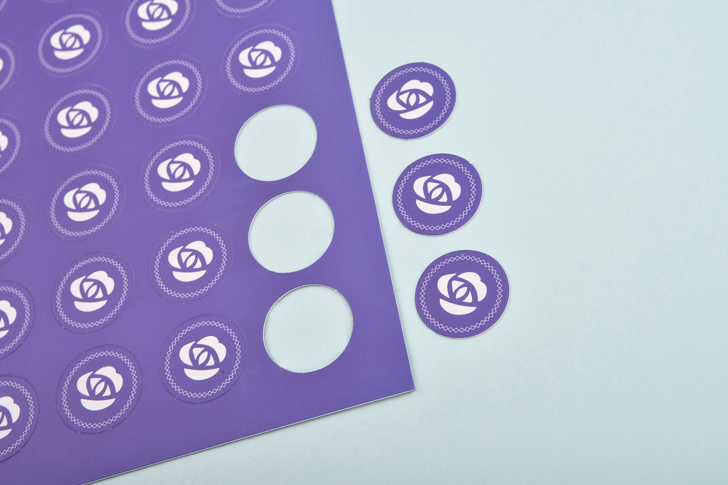 칠리펀트 보드게임 보드게임 패키지 5번째