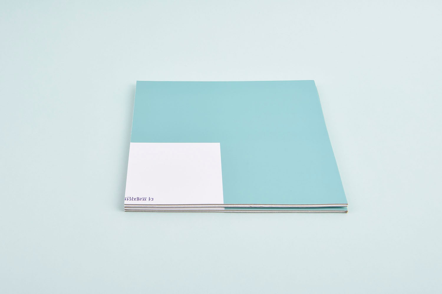 칠리펀트 보드게임 보드게임 패키지 11번째