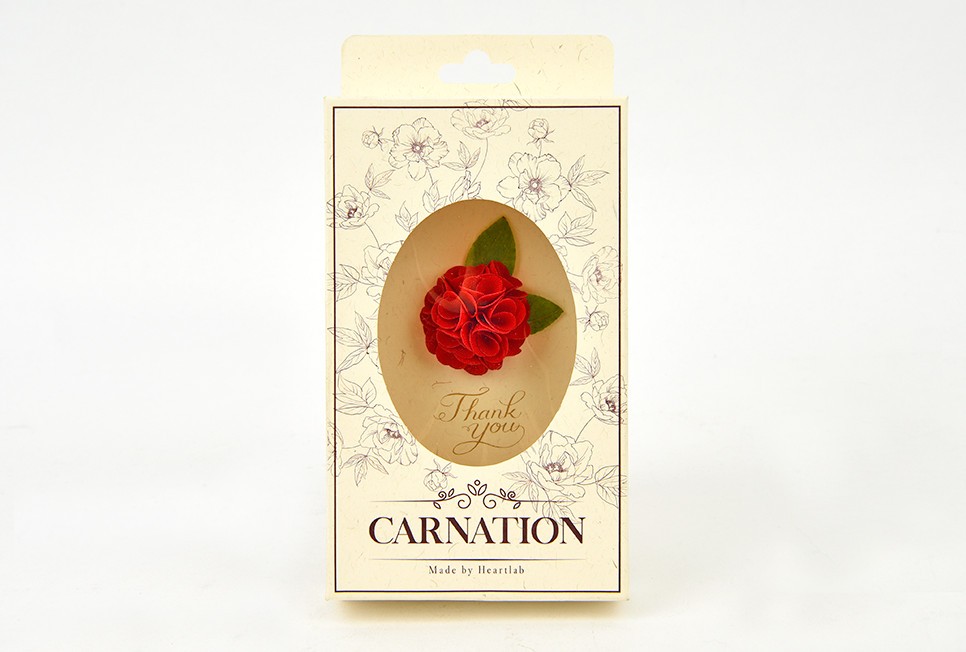 카네이션 꽃 패키지 1번째