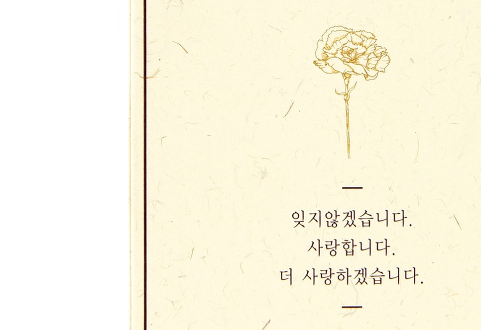 카네이션 꽃 패키지 3번째