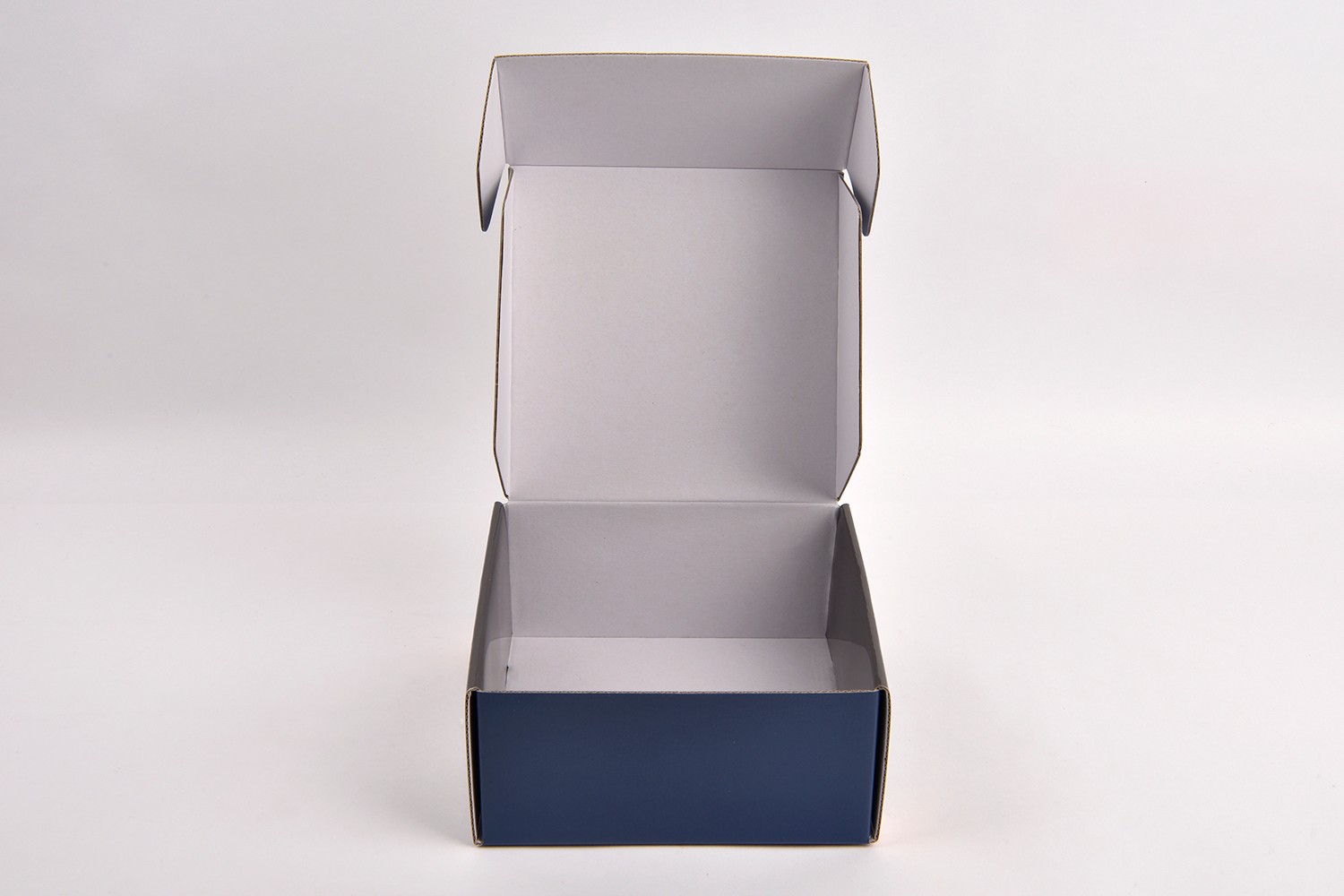 BINAREE 의약품 의약품 패키지 1번째