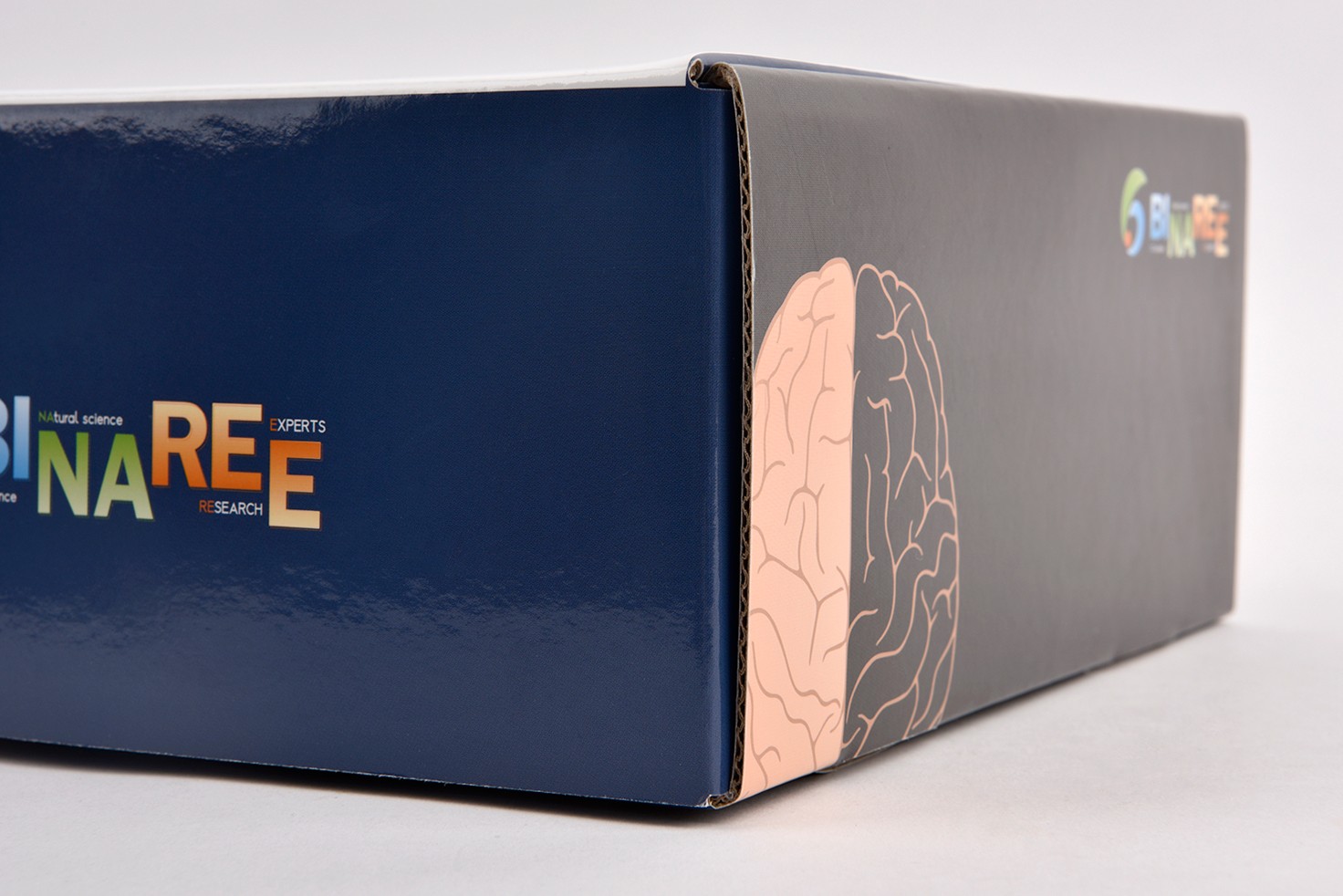 BINAREE 의약품 의약품 패키지 2번째