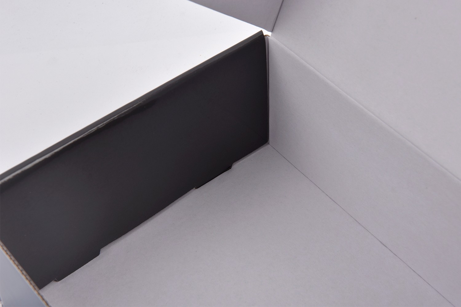 BINAREE 의약품 의약품 패키지 4번째