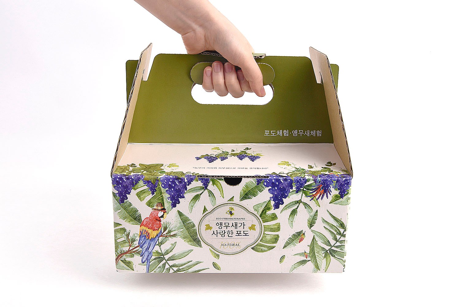 앵무새가 사랑한 포도즙 건강식품 손잡이형 패키지 제작하여 1