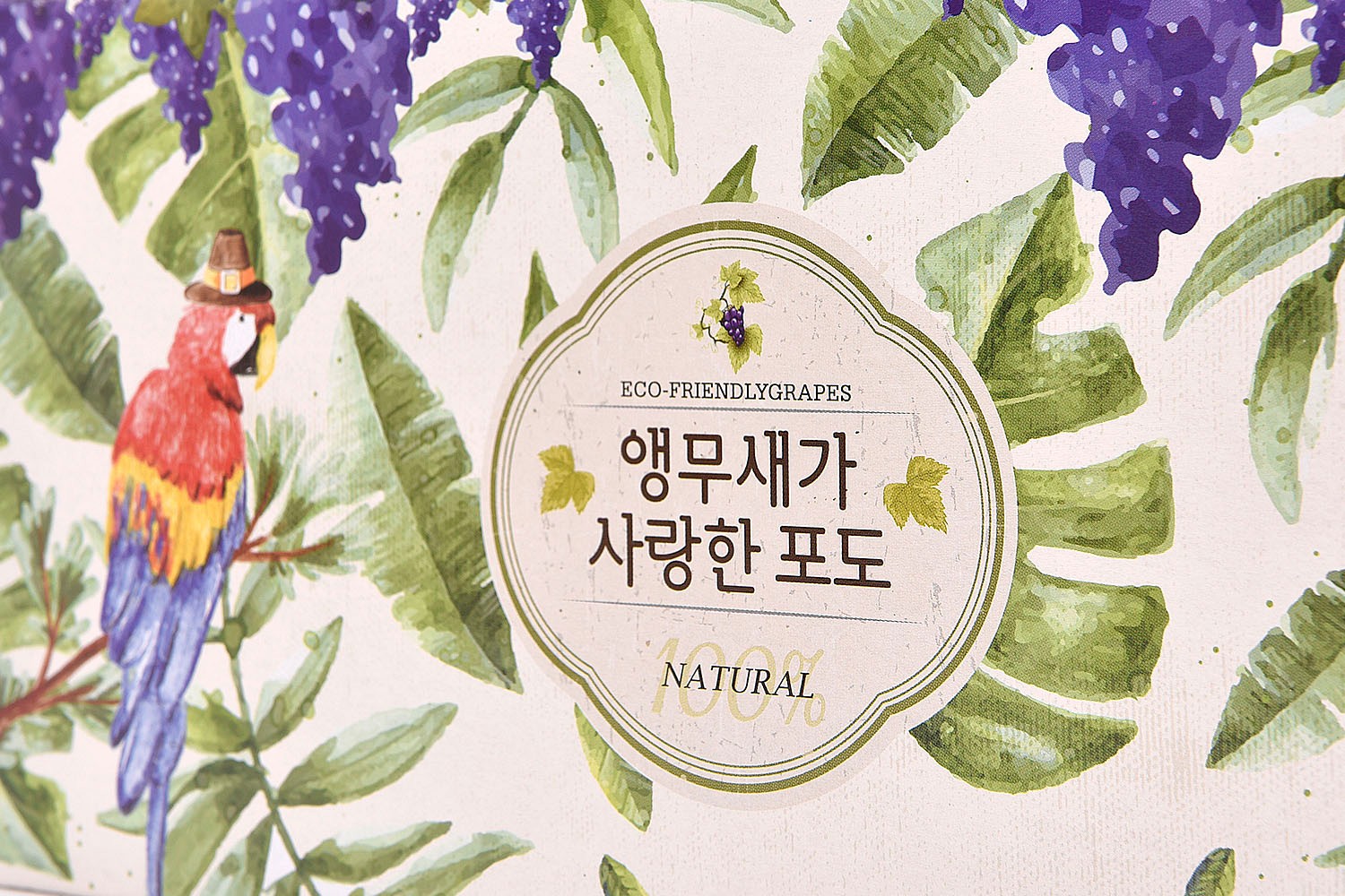 앵무새가 사랑한 포도즙 건강식품 손잡이형 건강식품패키지 3번째