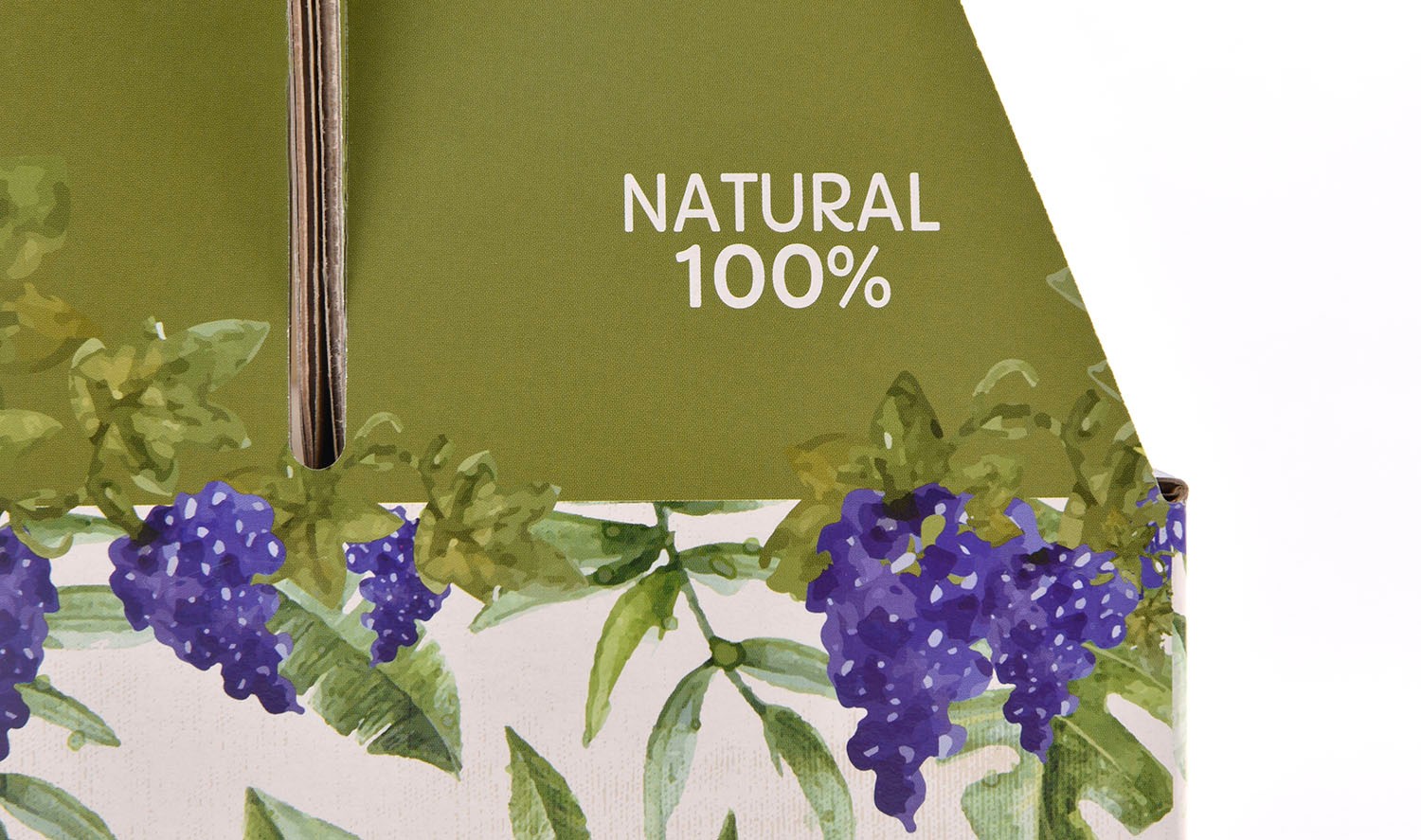 앵무새가 사랑한 포도즙 건강식품 손잡이형 건강식품패키지 4번째