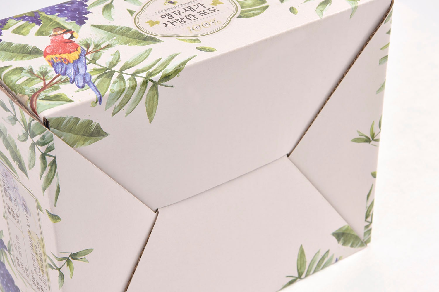 앵무새가 사랑한 포도즙 건강식품 손잡이형 건강식품패키지 5번째