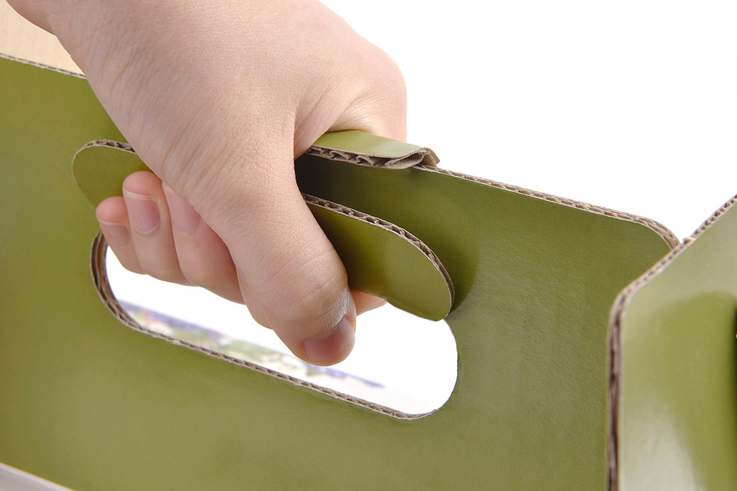 앵무새가 사랑한 포도즙 건강식품 손잡이형 패키지 제작하여 2