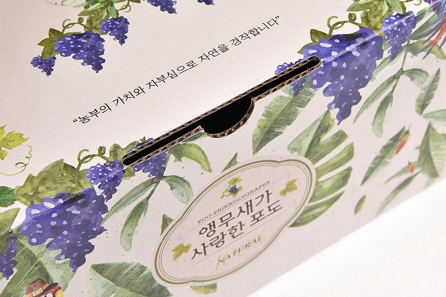 앵무새가 사랑한 포도즙 건강식품 손잡이형 패키지 제작하여 3