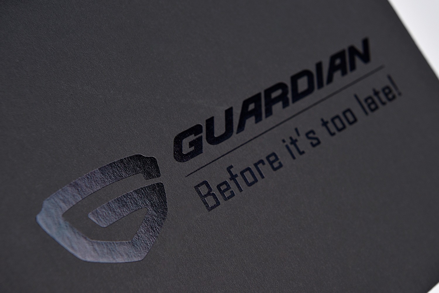 가디언 도어가드 패키지 제작하여 2