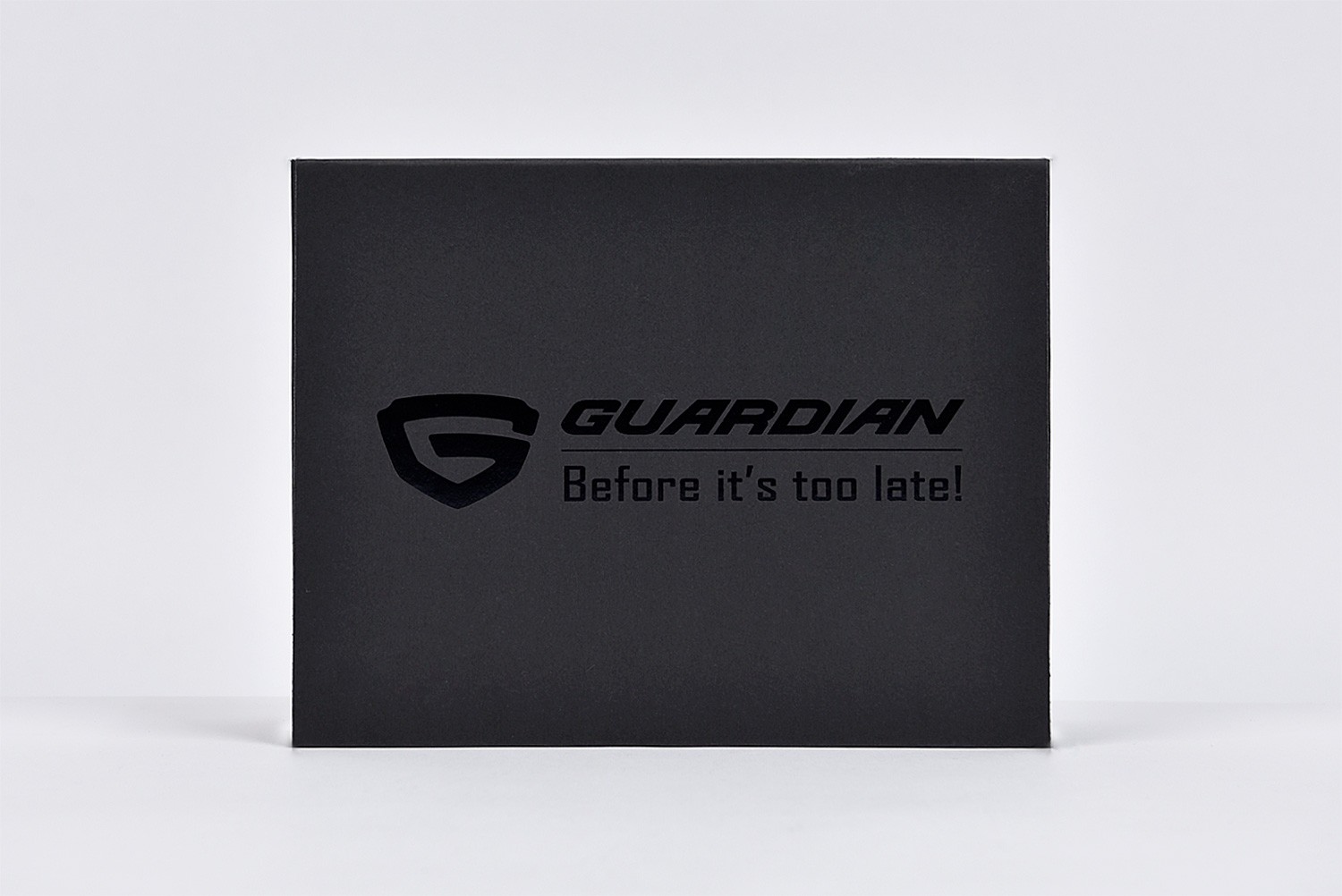 가디언 도어가드 패키지 제작하여 3