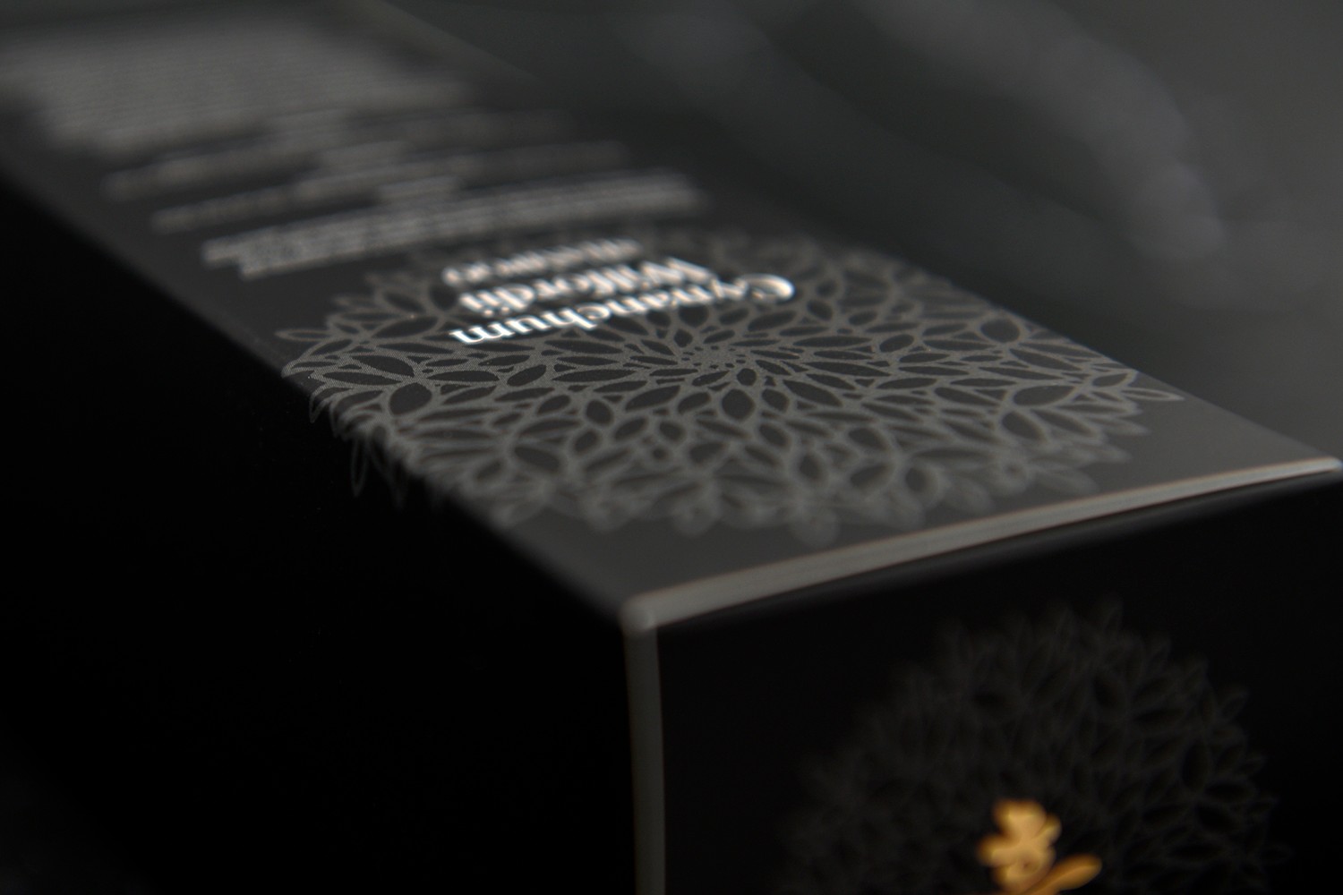 백수오 프리미엄 샴푸 샴푸 패키지 3번째