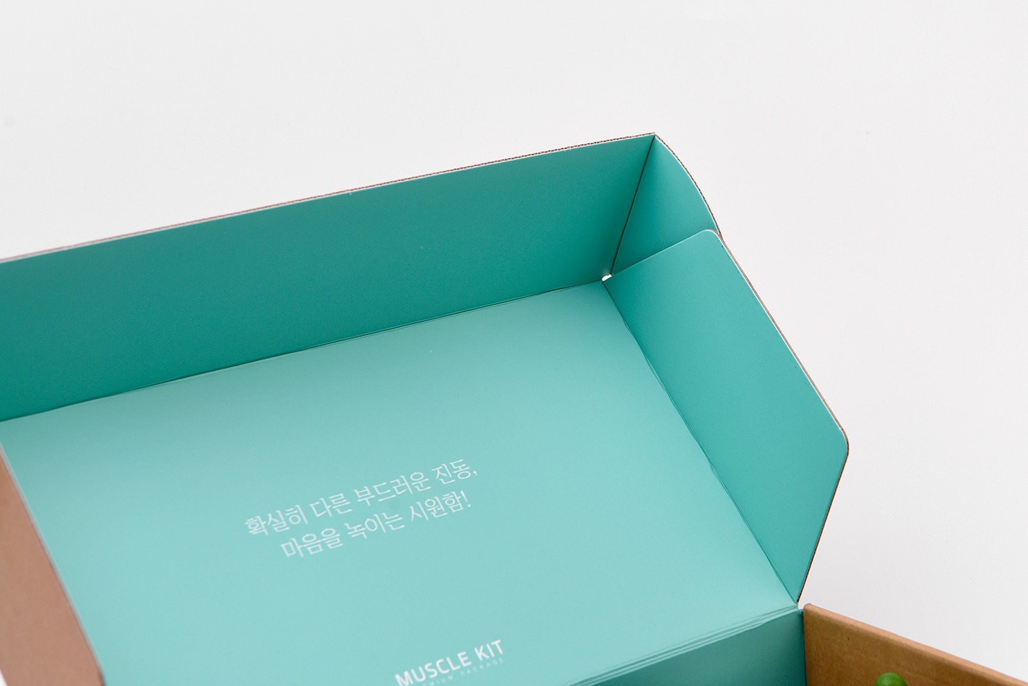 마사시건 안마용품 전자기기 안마기 패키지 4번째