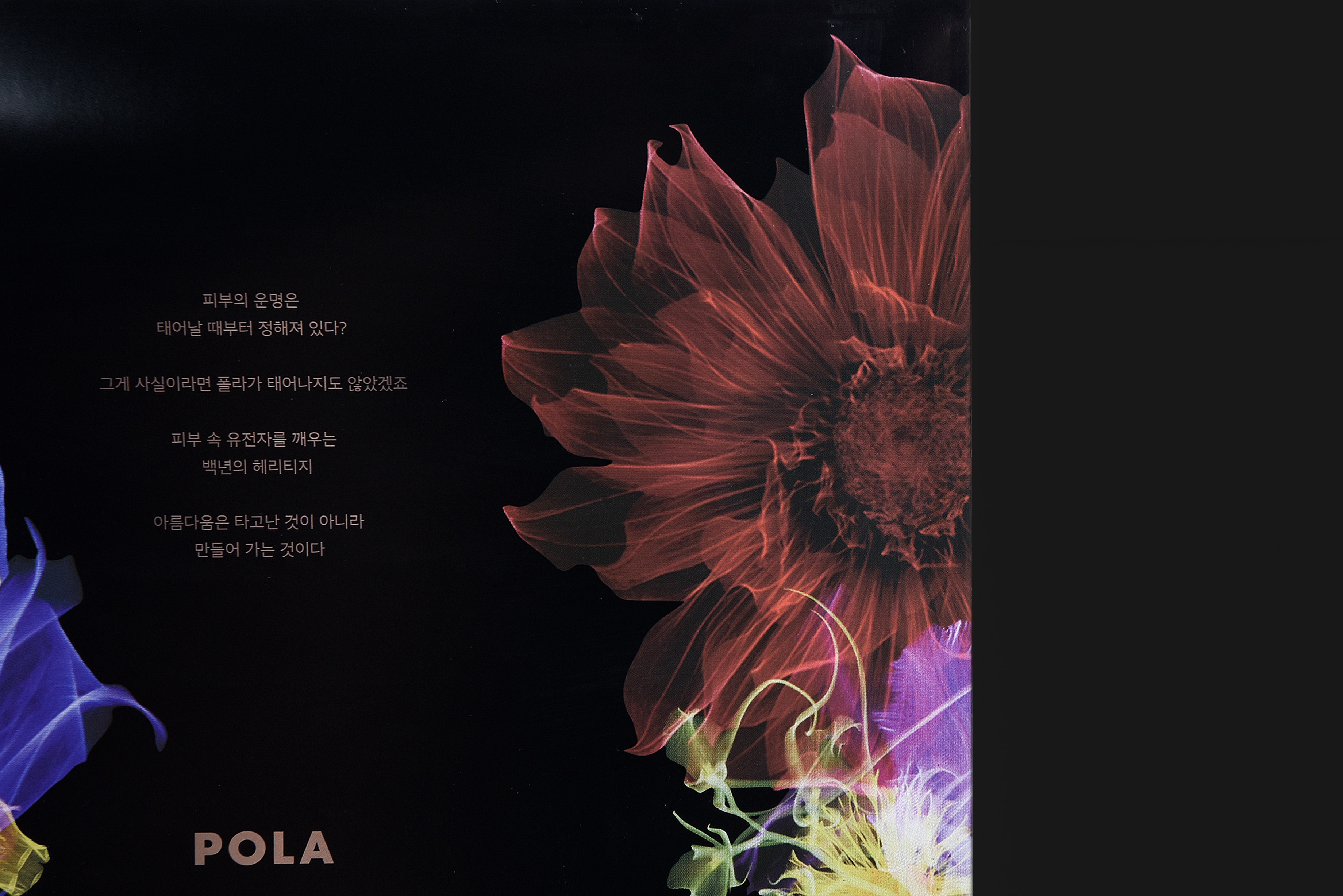 POLA 폴라 시크릿박스 화장품 화장품 패키지 4번째