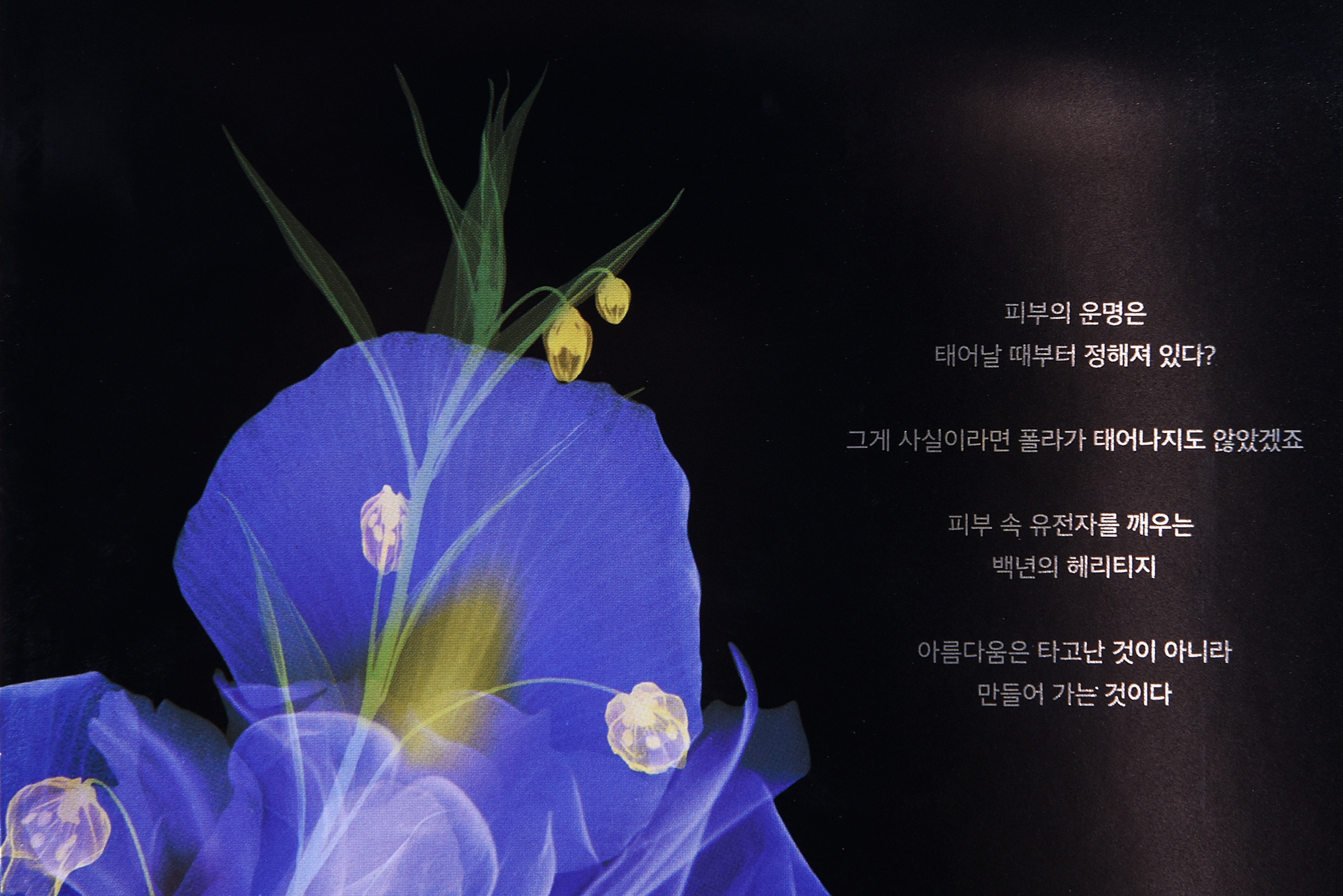 POLA 폴라 시크릿박스 화장품 화장품 패키지 5번째