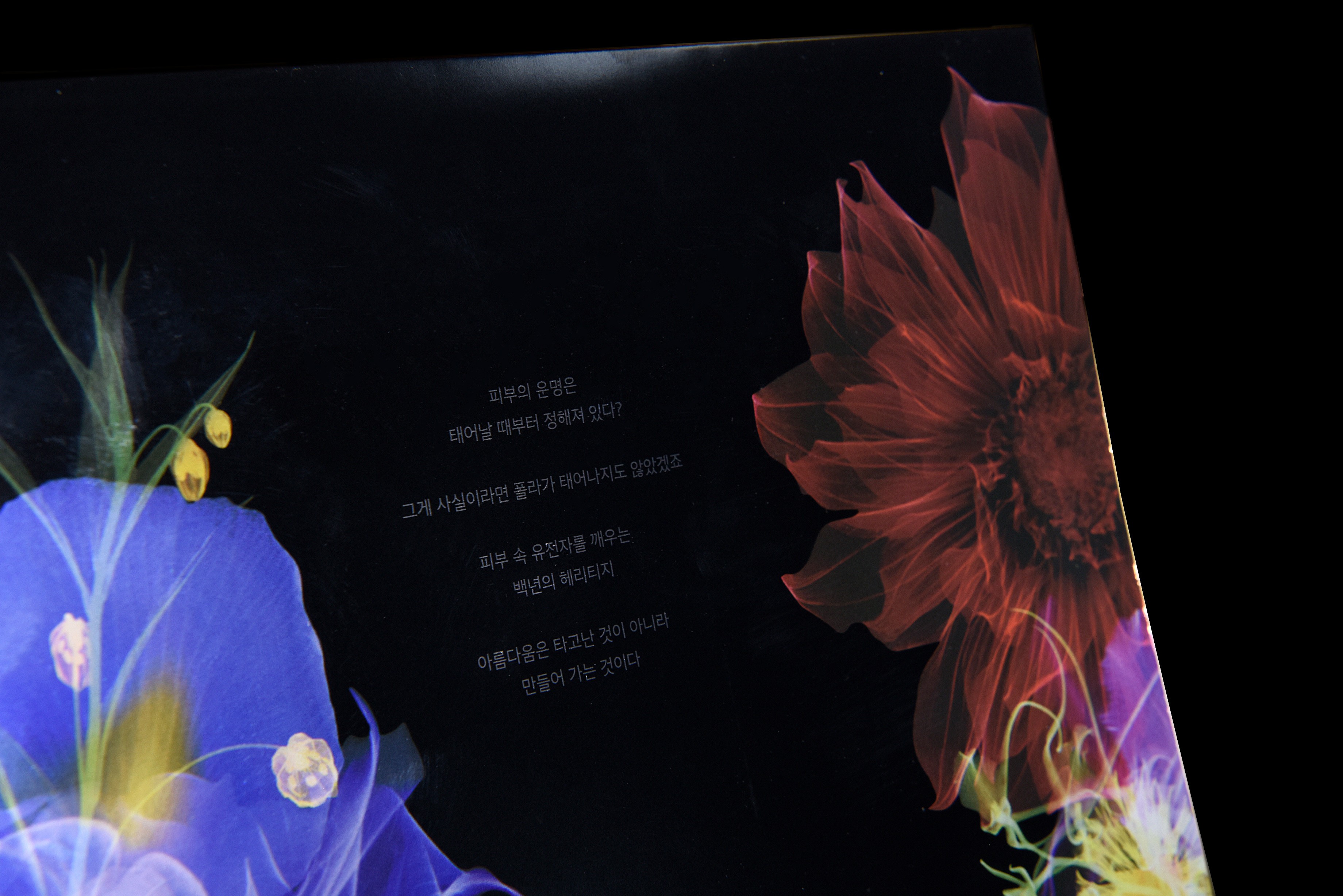 POLA 폴라 시크릿박스 화장품 화장품 패키지 7번째