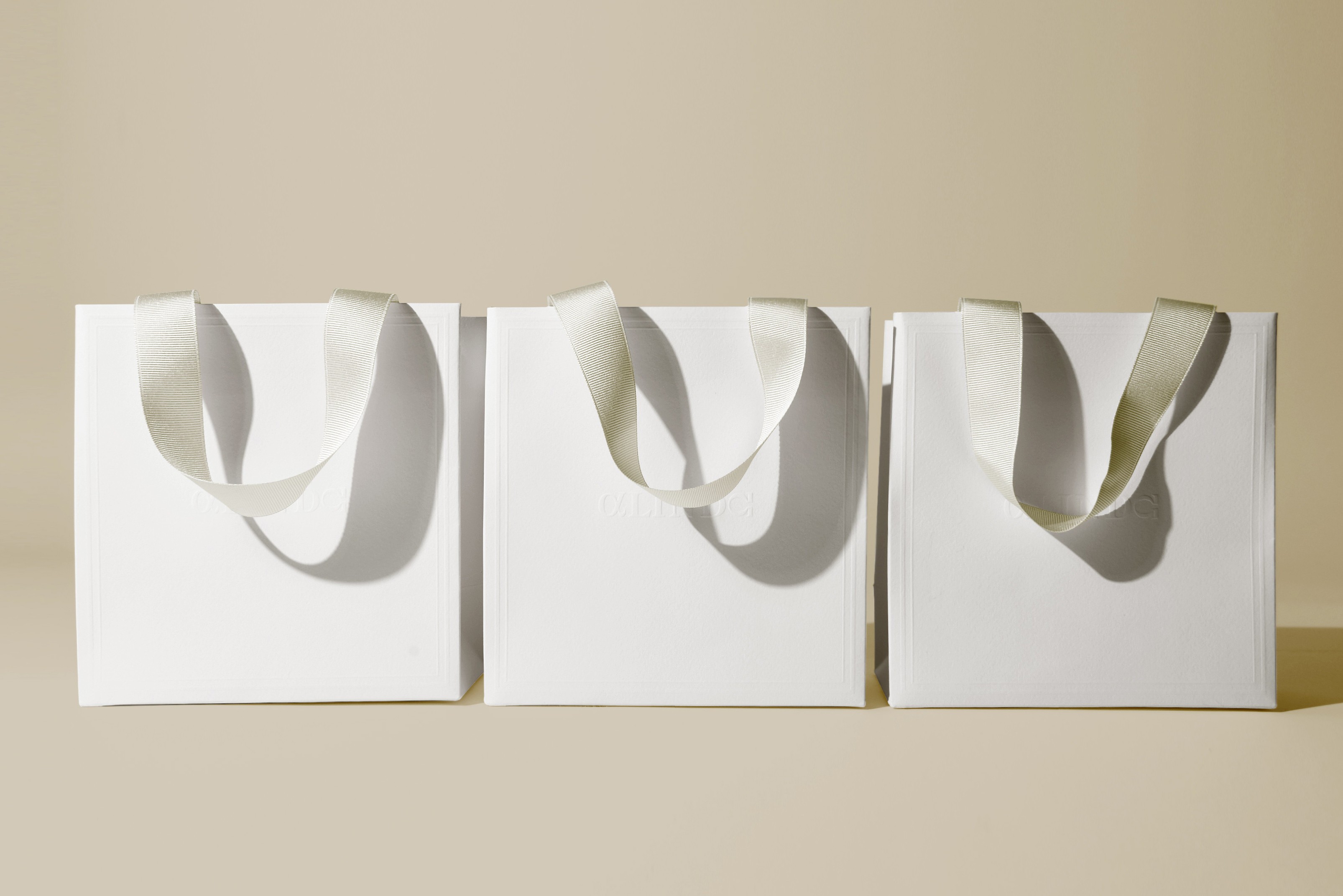 주얼리 악세사리 브랜드 쇼핑백 패키지 제작하여 3