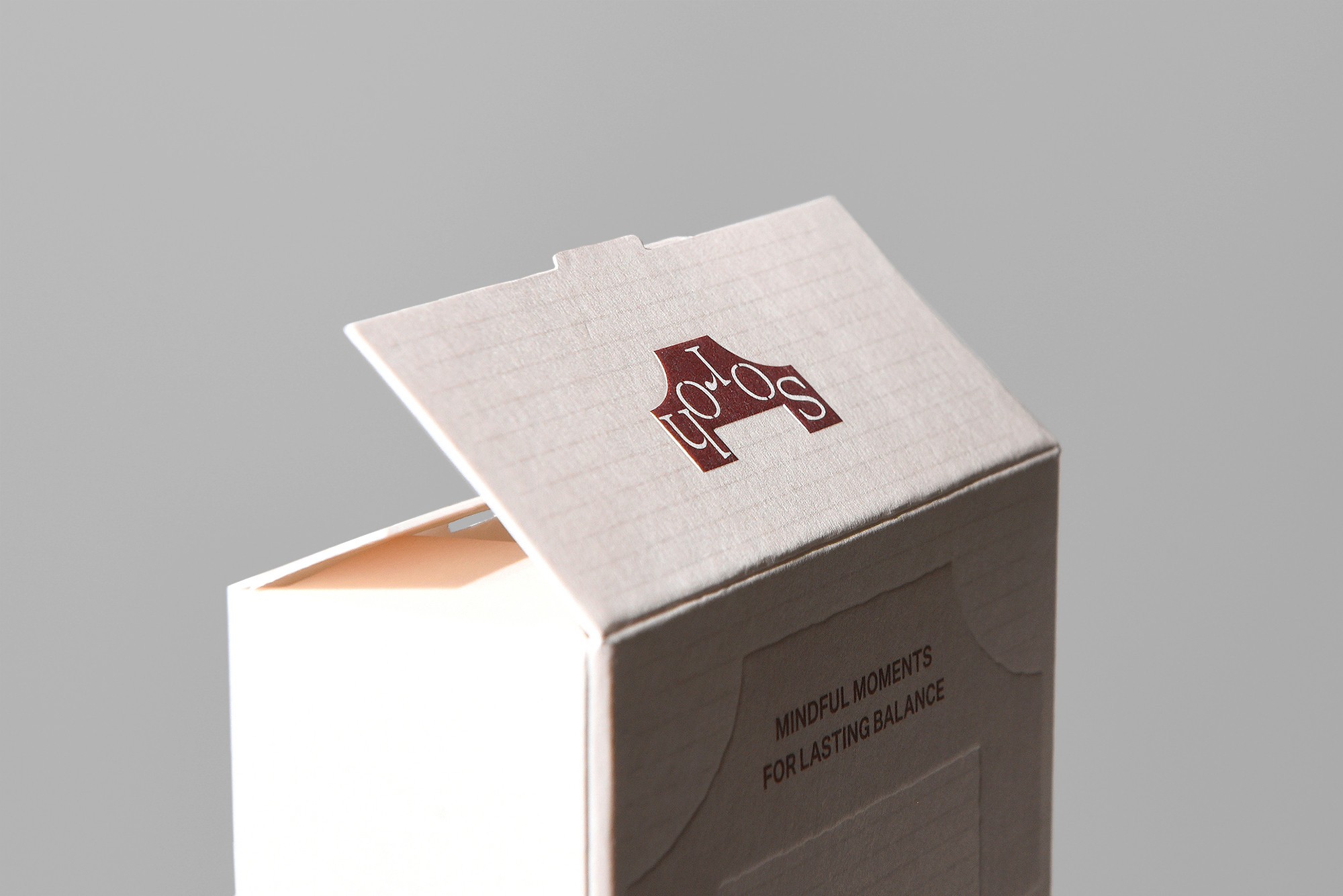 오미자 액상차 식품 액상차 식품 패키지 3번째