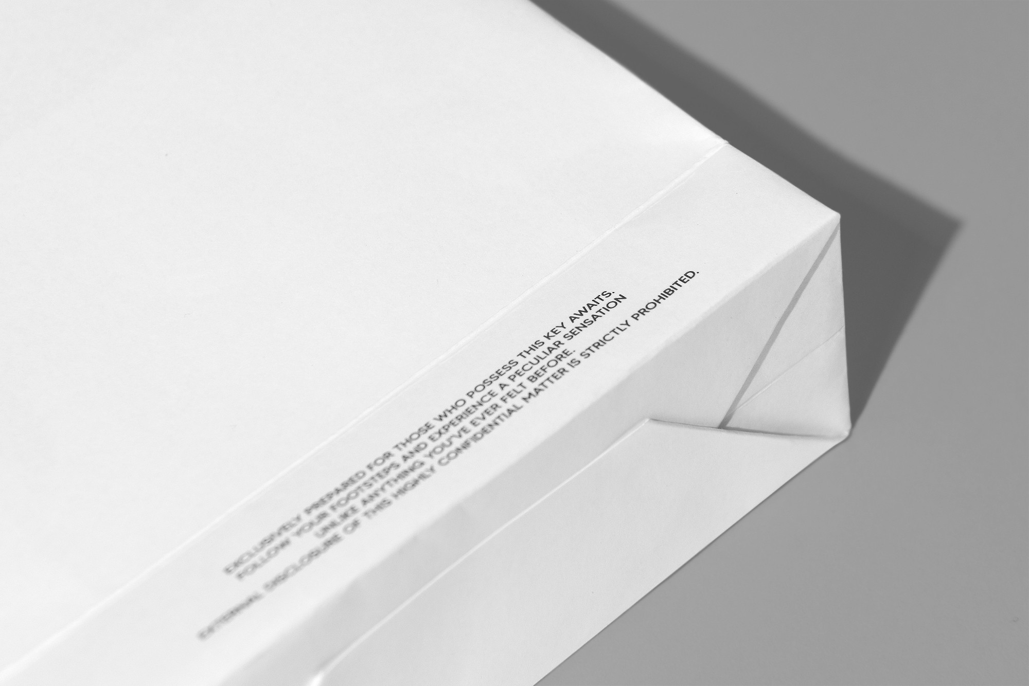 향수 쇼핑백 향수 쇼핑백 2번째